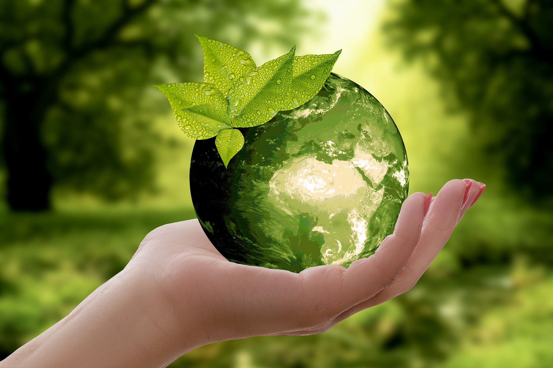 Sustainable give-away in Retail