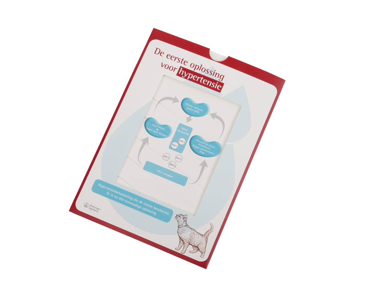 Lamellae card